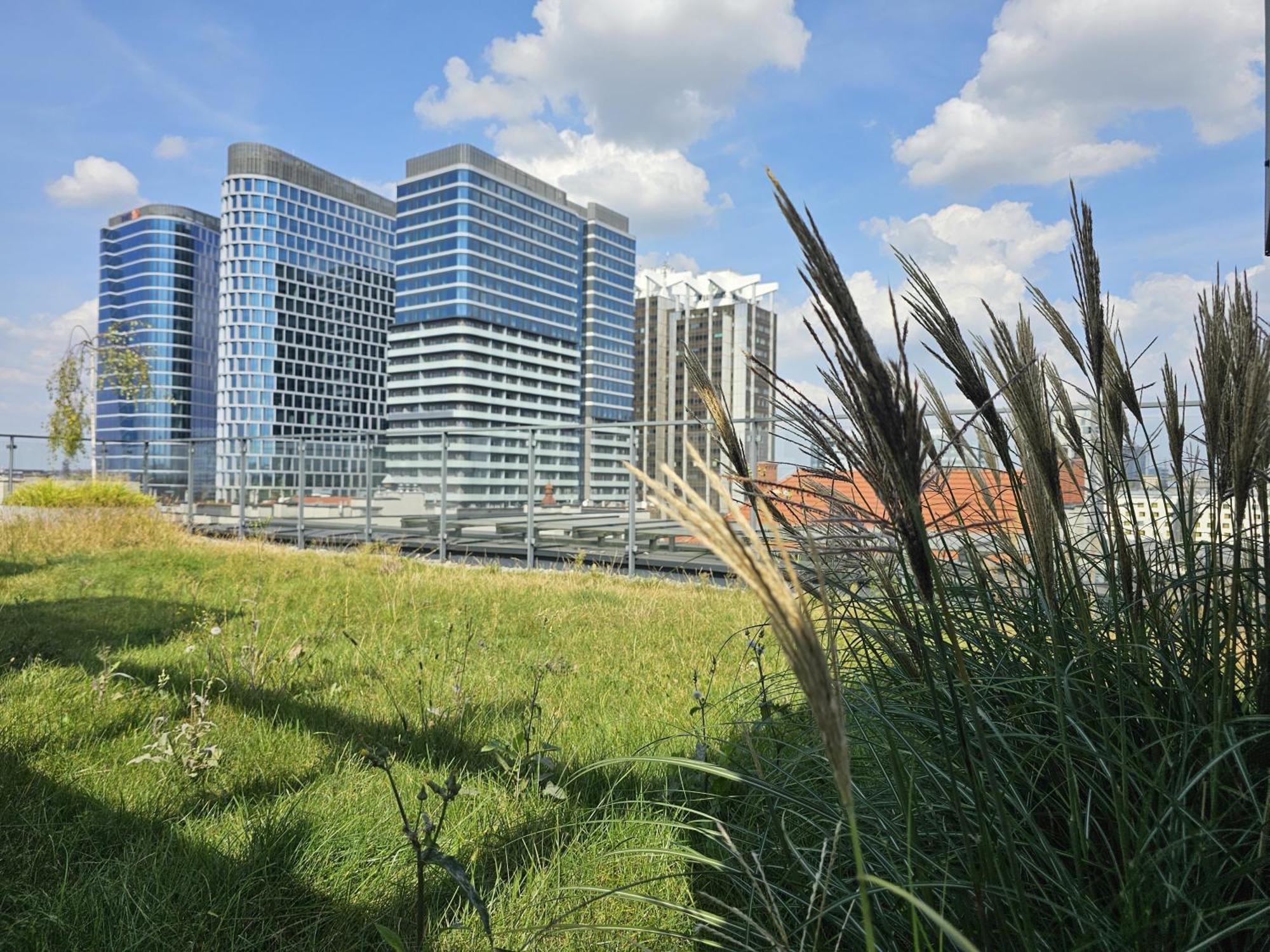 Urban Apartments Premium, Opolska 10 No 91, Free Garage, Self Check-In Katowice Extérieur photo